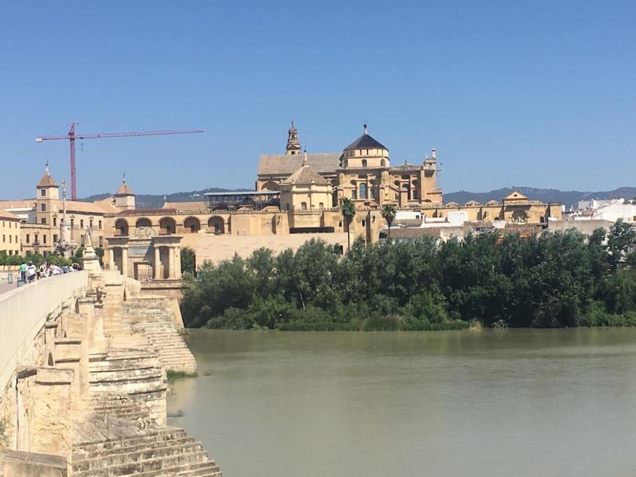 Zoco * Cordoba
