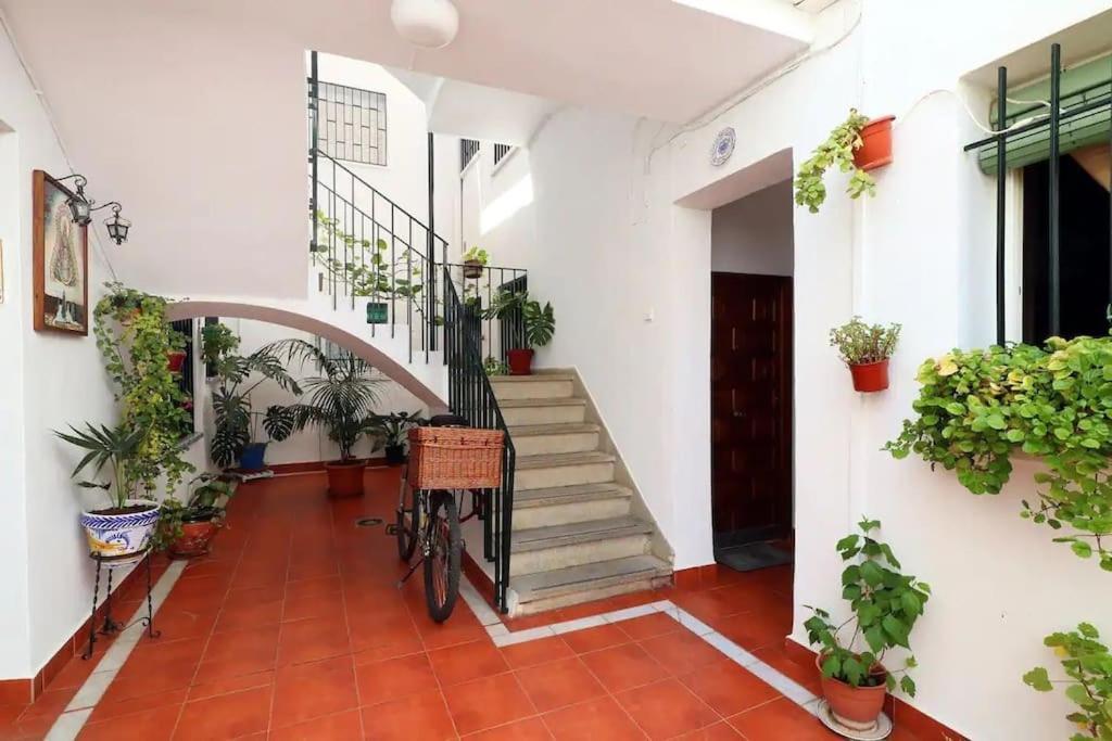 Apartamento Kinahouse *