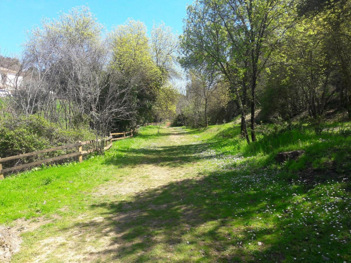 Сasa de vacaciones Del Bosque Cerca De *