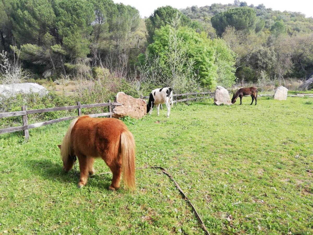 Сasa de vacaciones Del Bosque Cerca De Córdoba