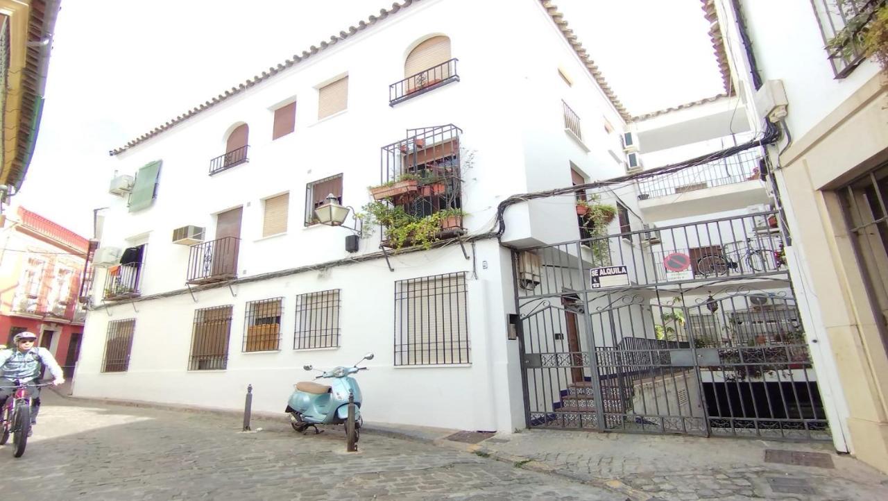 Gema De La Juderia En Apartamento