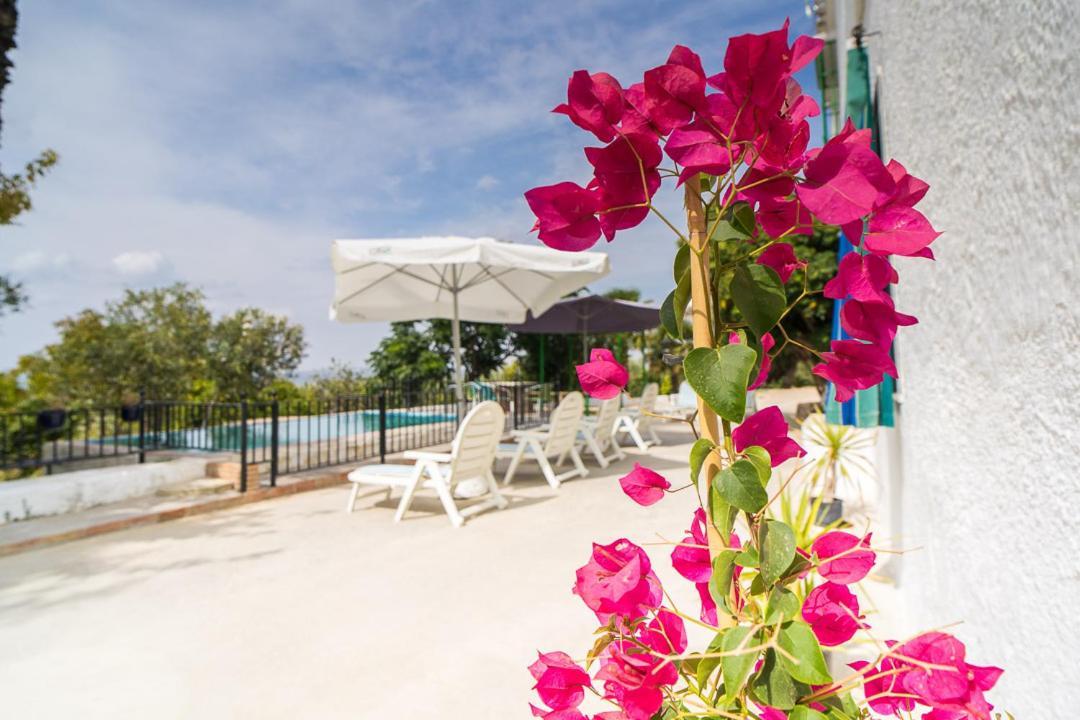 Сasa de vacaciones Cortijo Don Simón *