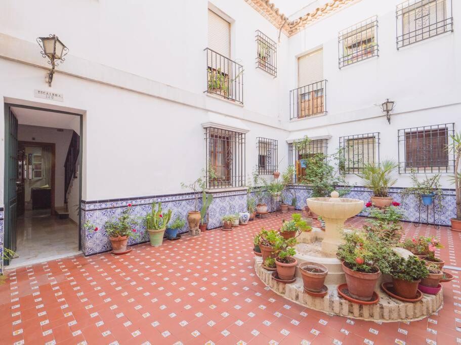 Apartment Mezquita Premium