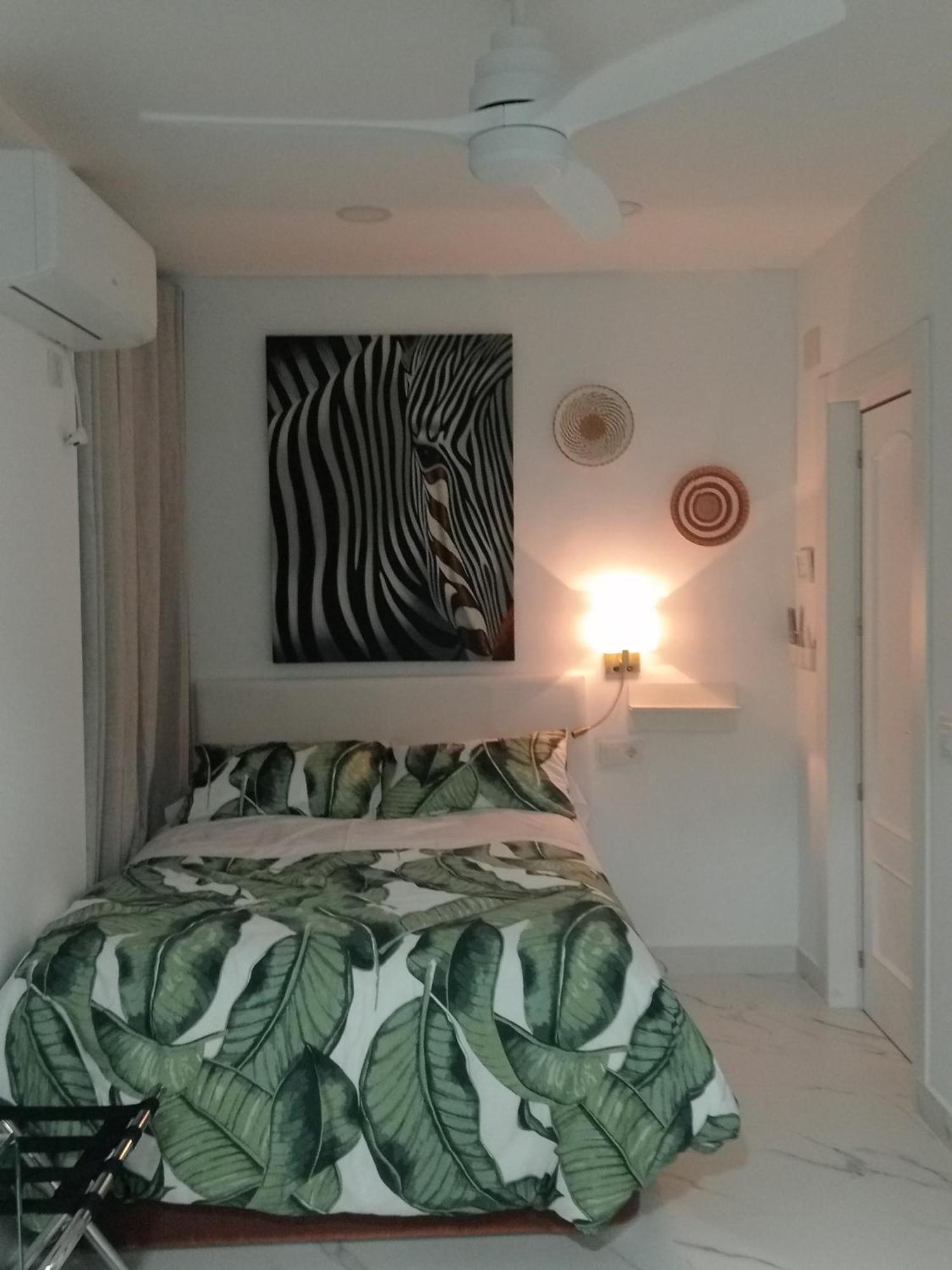 Apartment Moneiba Centro
