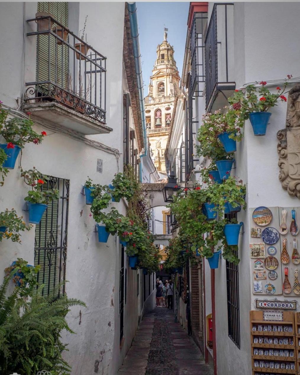 Apartamento Flor De