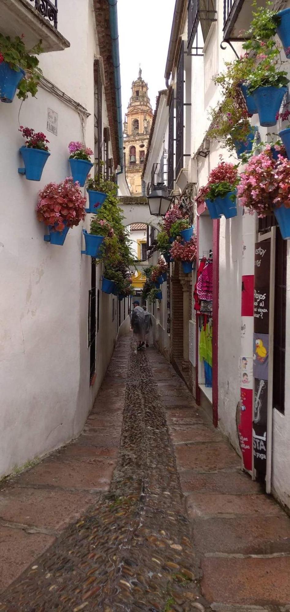 Apartamento Flor De Córdoba