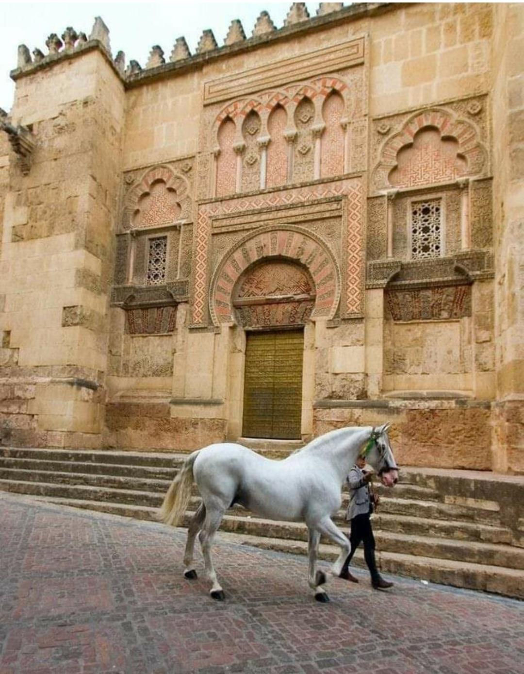 A 20 Metros De La Mezquita Catedral ,apartamentos Turistico Cespedes 5 *