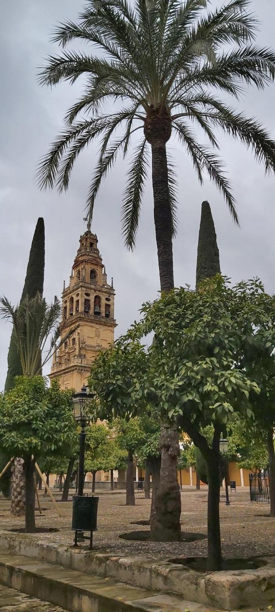A 20 Metros De La Mezquita Catedral ,apartamentos Turistico Cespedes 5 Apartamento Córdoba