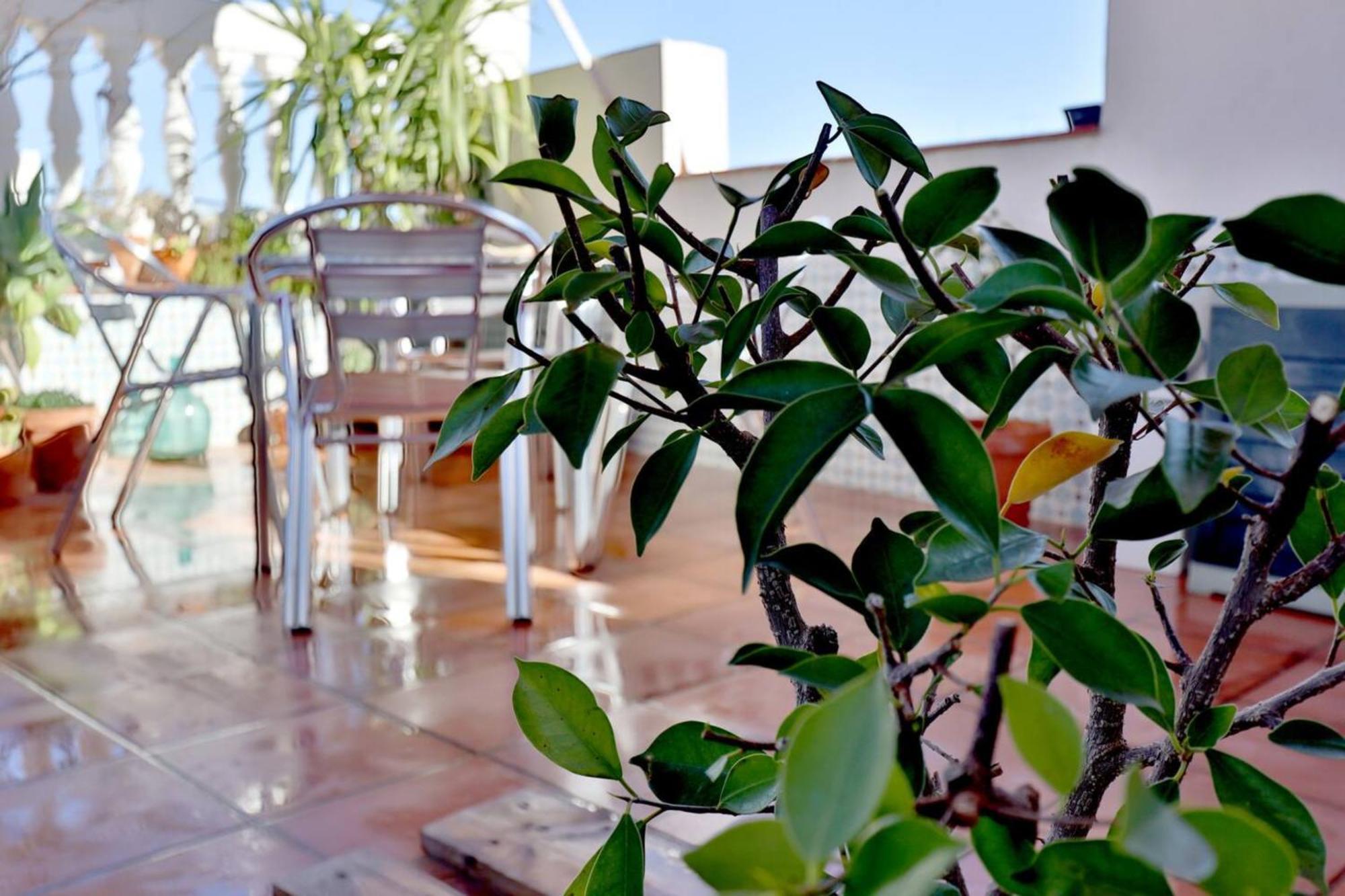 Atico Con Terraza En Pleno Centro Apartamento *