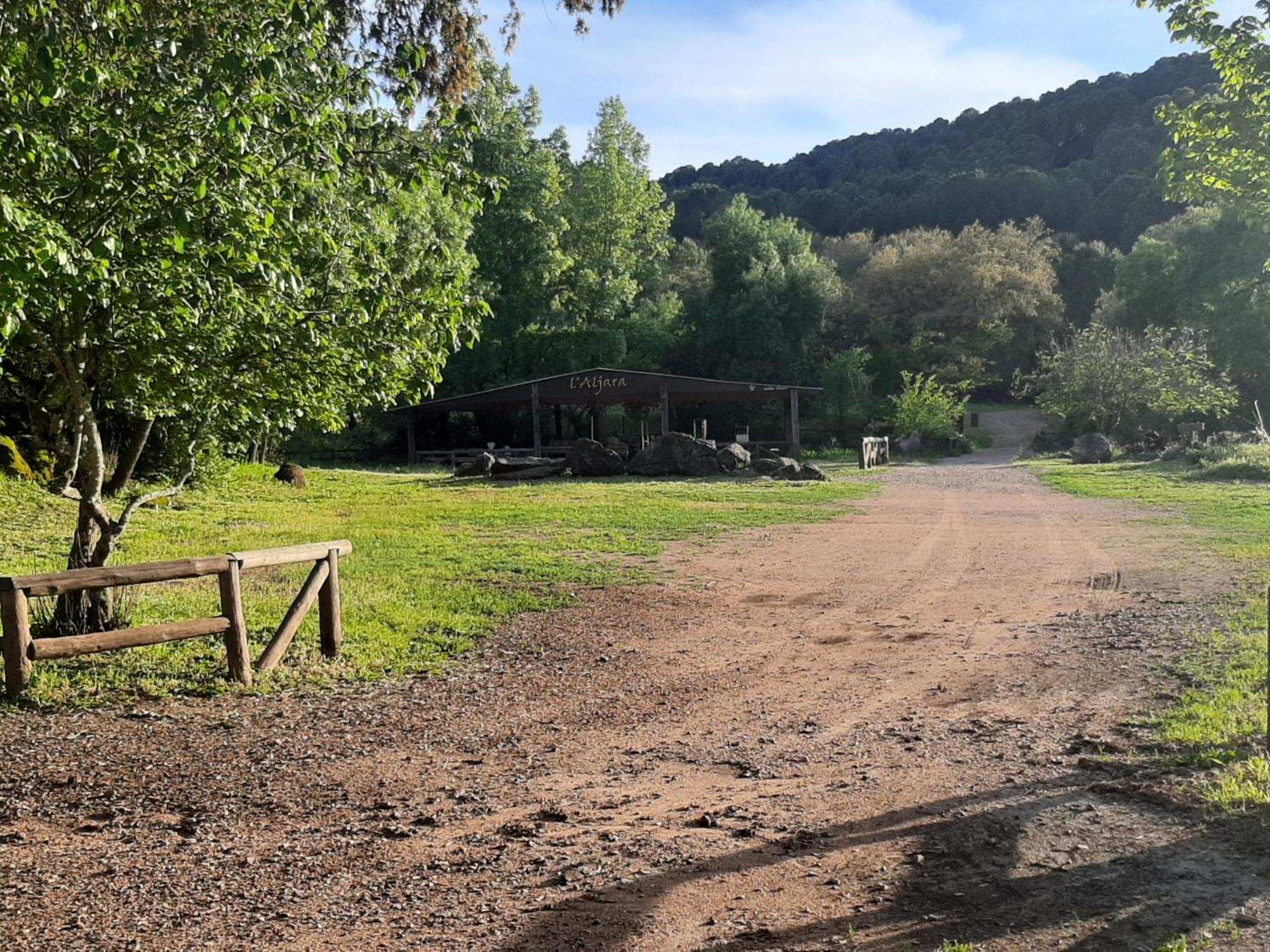 Сasa de vacaciones Del Bosque Cerca De *