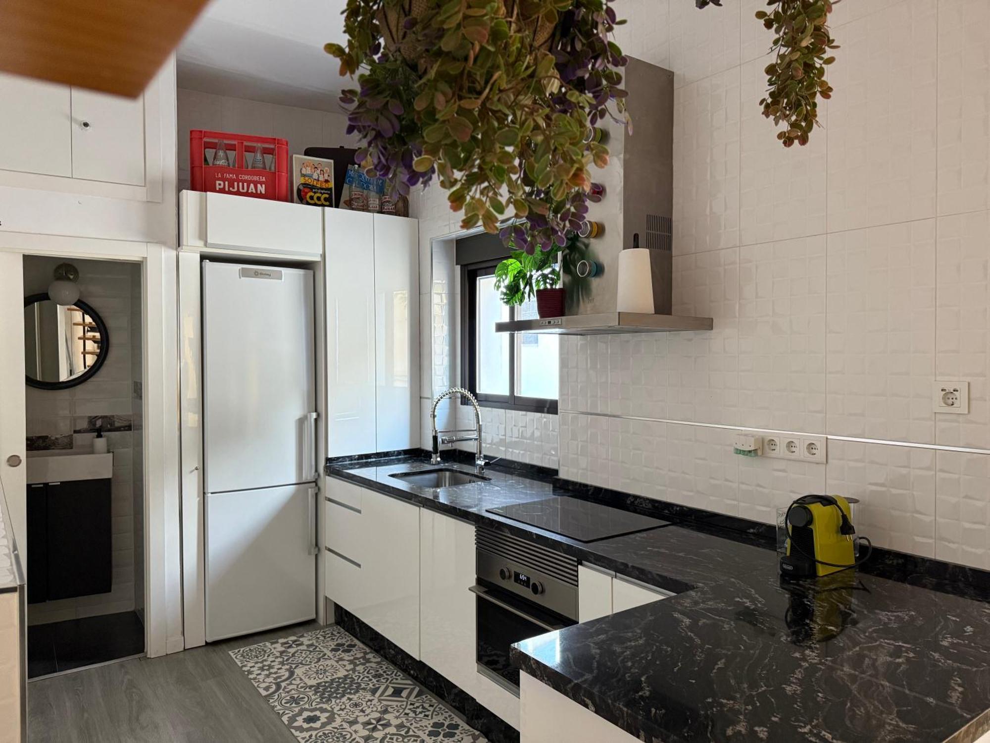 Apartamento Loft Con Terraza Centro