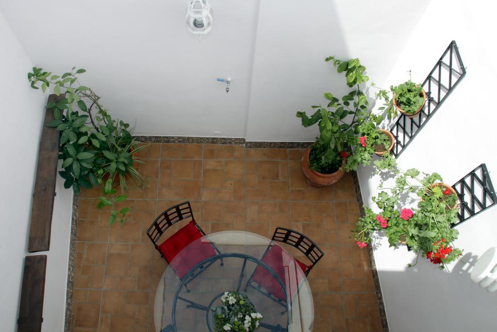 Apartment San Fernando 76 *