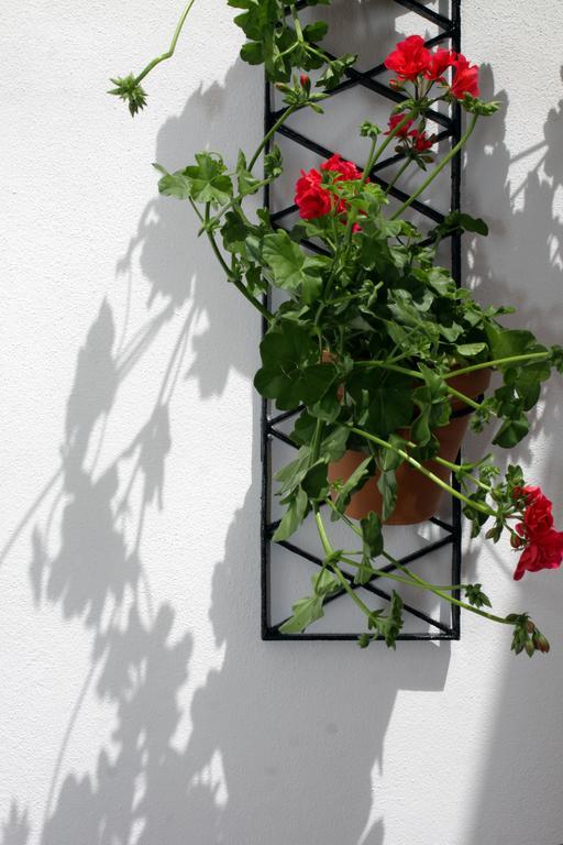Apartment San Fernando 76