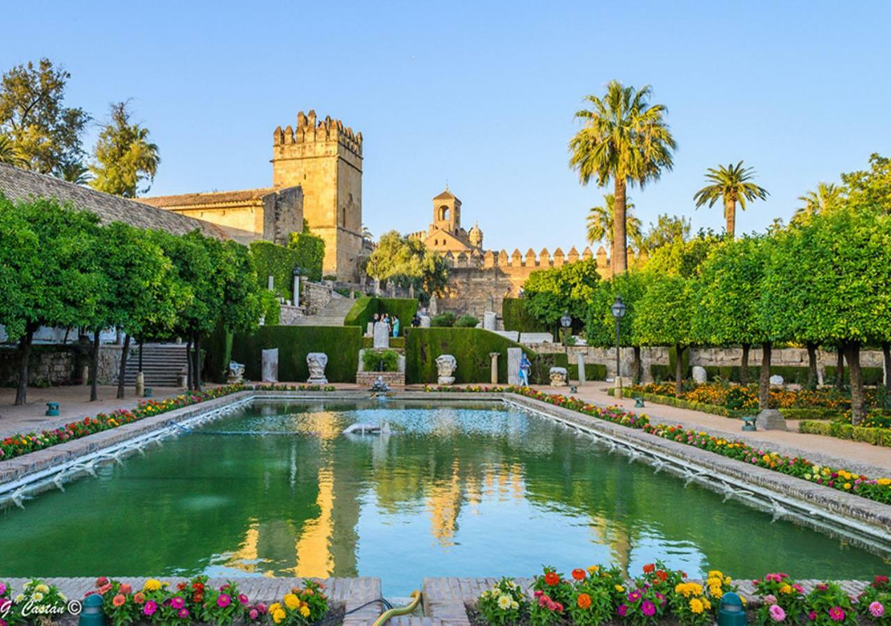Apartamento *new* Cerca De La Mezquita *