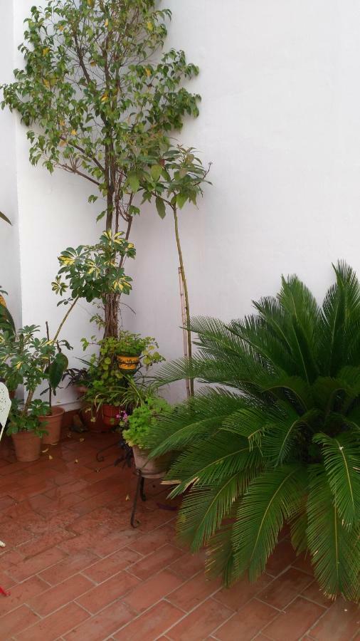 Patios Con Encanto Apartamento *