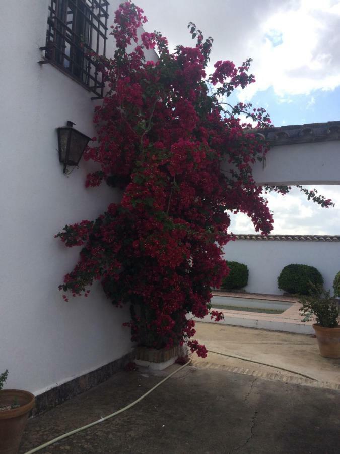 Huerta Los Naranjos * Córdoba