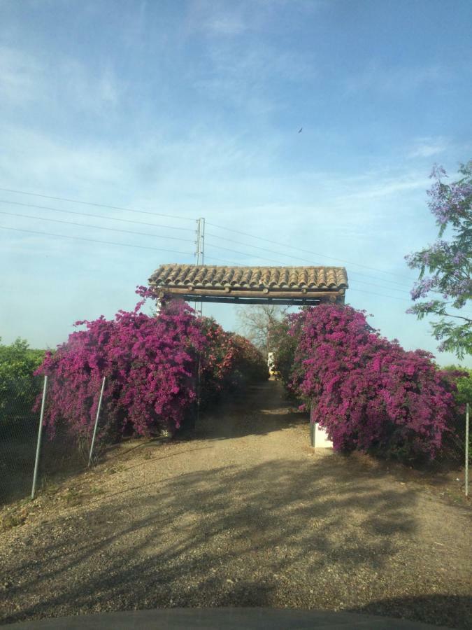 Huerta Los Naranjos Casa rural *