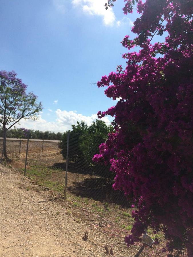 Casa rural Huerta Los Naranjos Córdoba