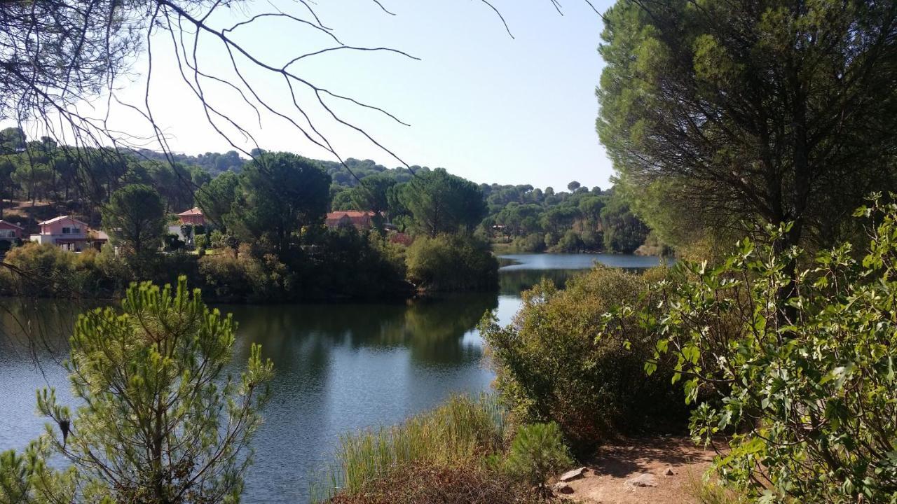 De Madera Junto Al Jaras *
