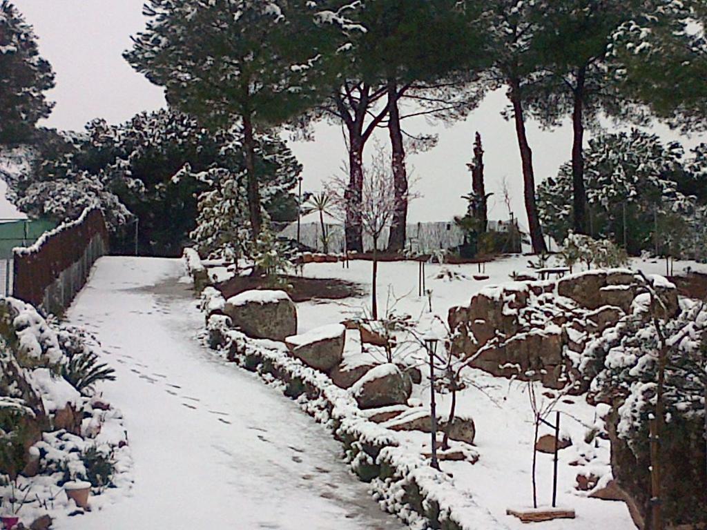 De Madera Junto Al Jaras Chalet