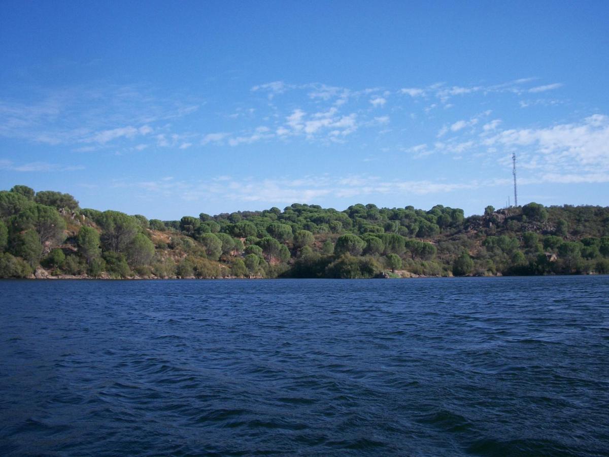 De Madera Junto Al Jaras Córdoba