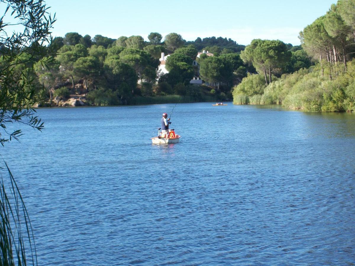 De Madera Junto Al Jaras