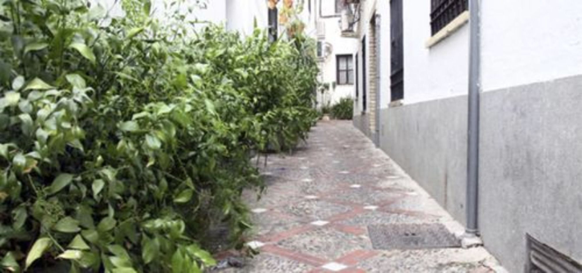 Juderia Mezquita Apartamento